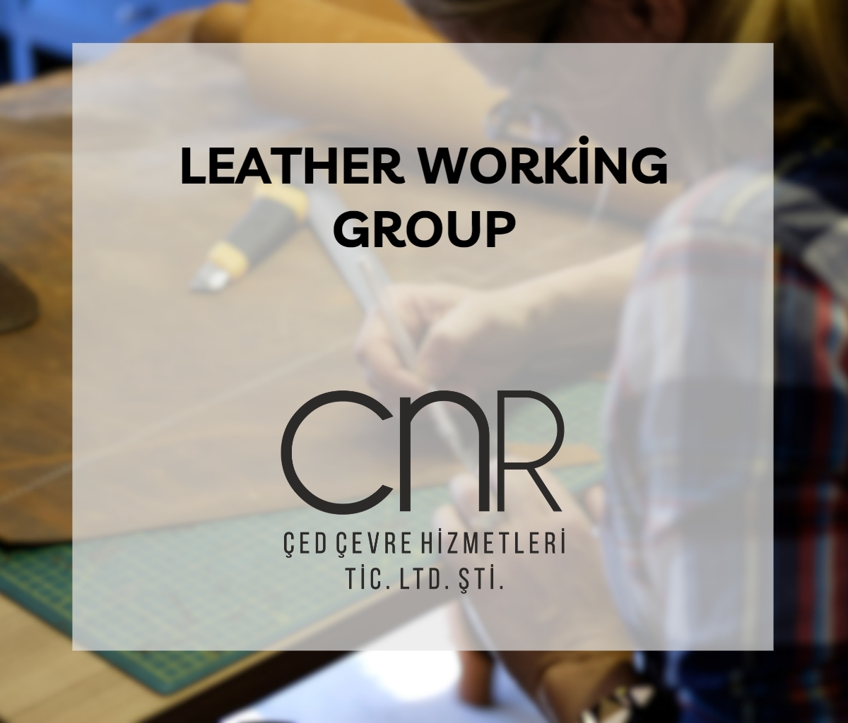 LWG (Leather Working Group)