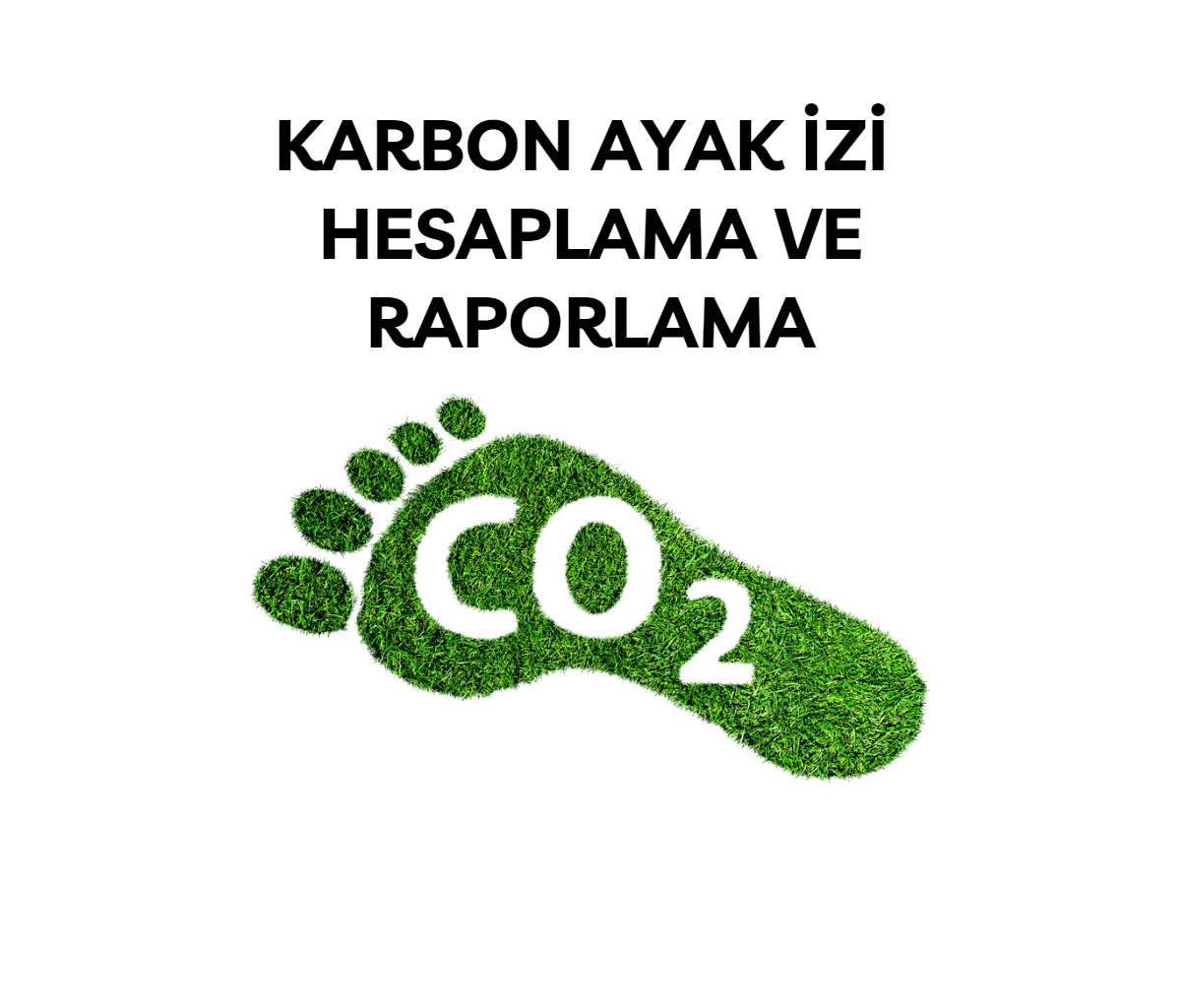 Karbon Ayak İzi Hesaplama ve Raporlama