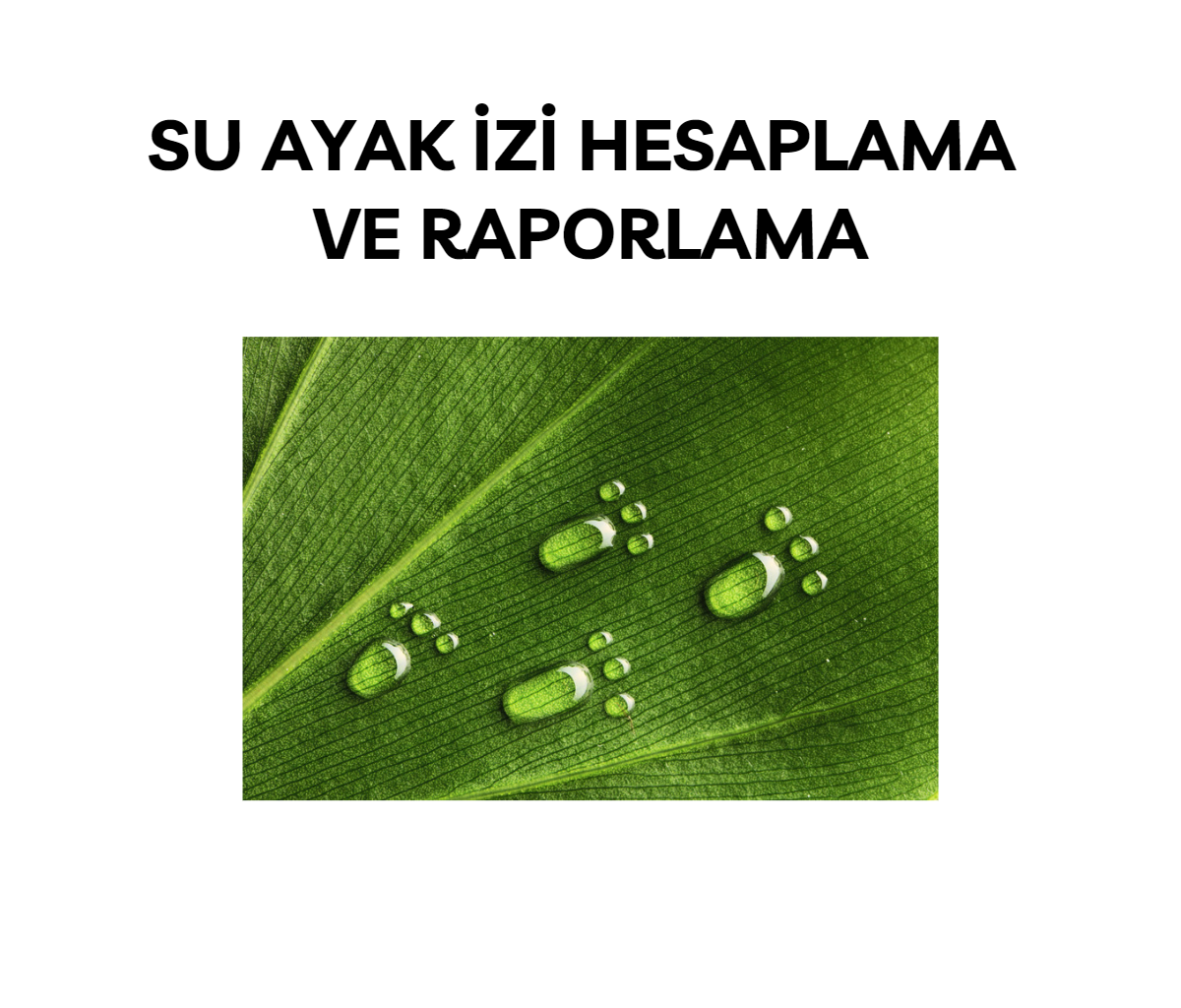 Su Ayak İzi Hesaplama ve Raporlama