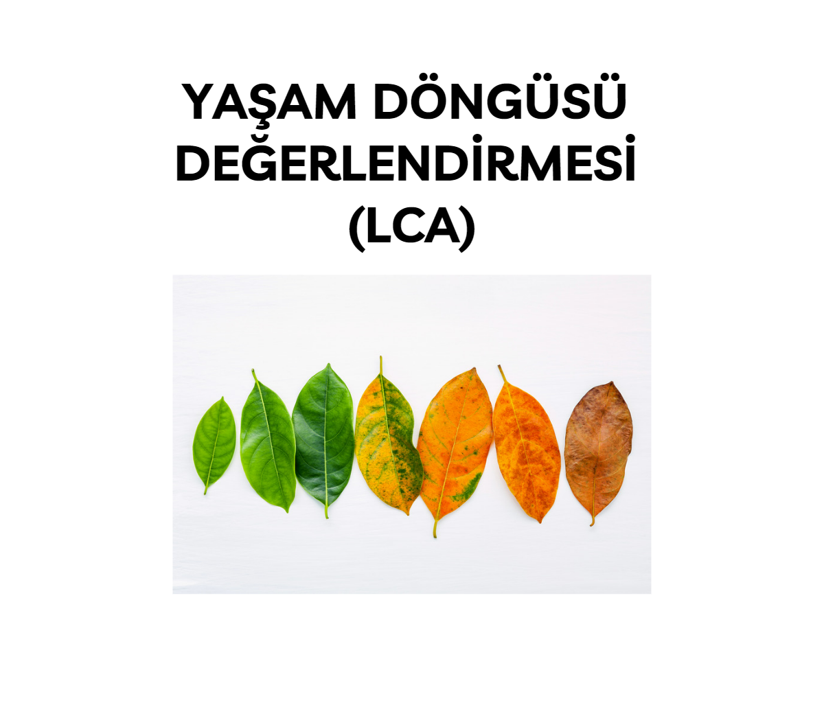 Yaşam Döngüsü Değerlendirmesi (LCA)