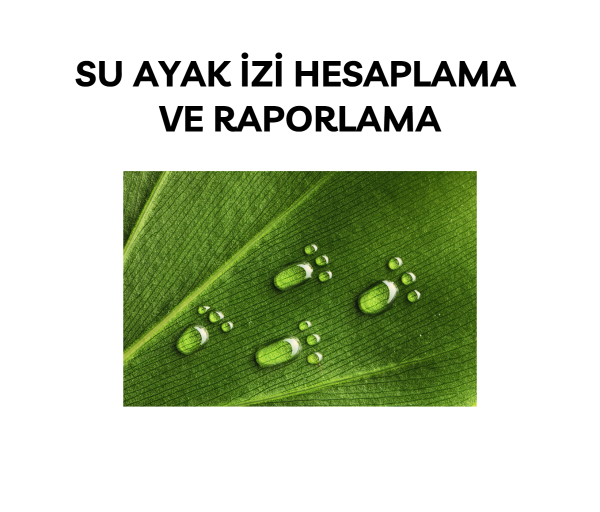Su Ayak İzi Hesaplama ve Raporlama