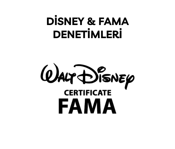 Disney & Fama Denetimleri